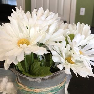 Meet your Posher, Rita